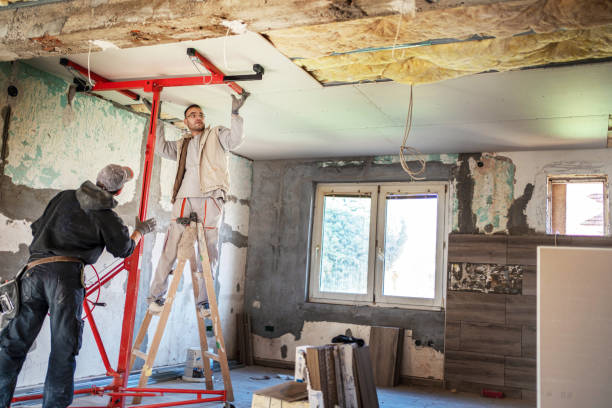 Best Geographic-Specific Insulation Services in Signal Mountain, TN