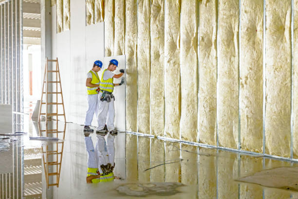 Best DIY Insulation Kits and Guidance in Signal Mountain, TN